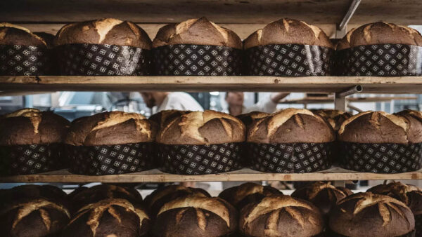 Boella Panettone Produzione