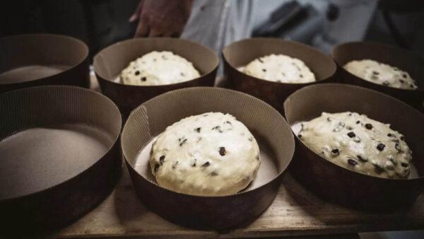Boella Panettone Produzione